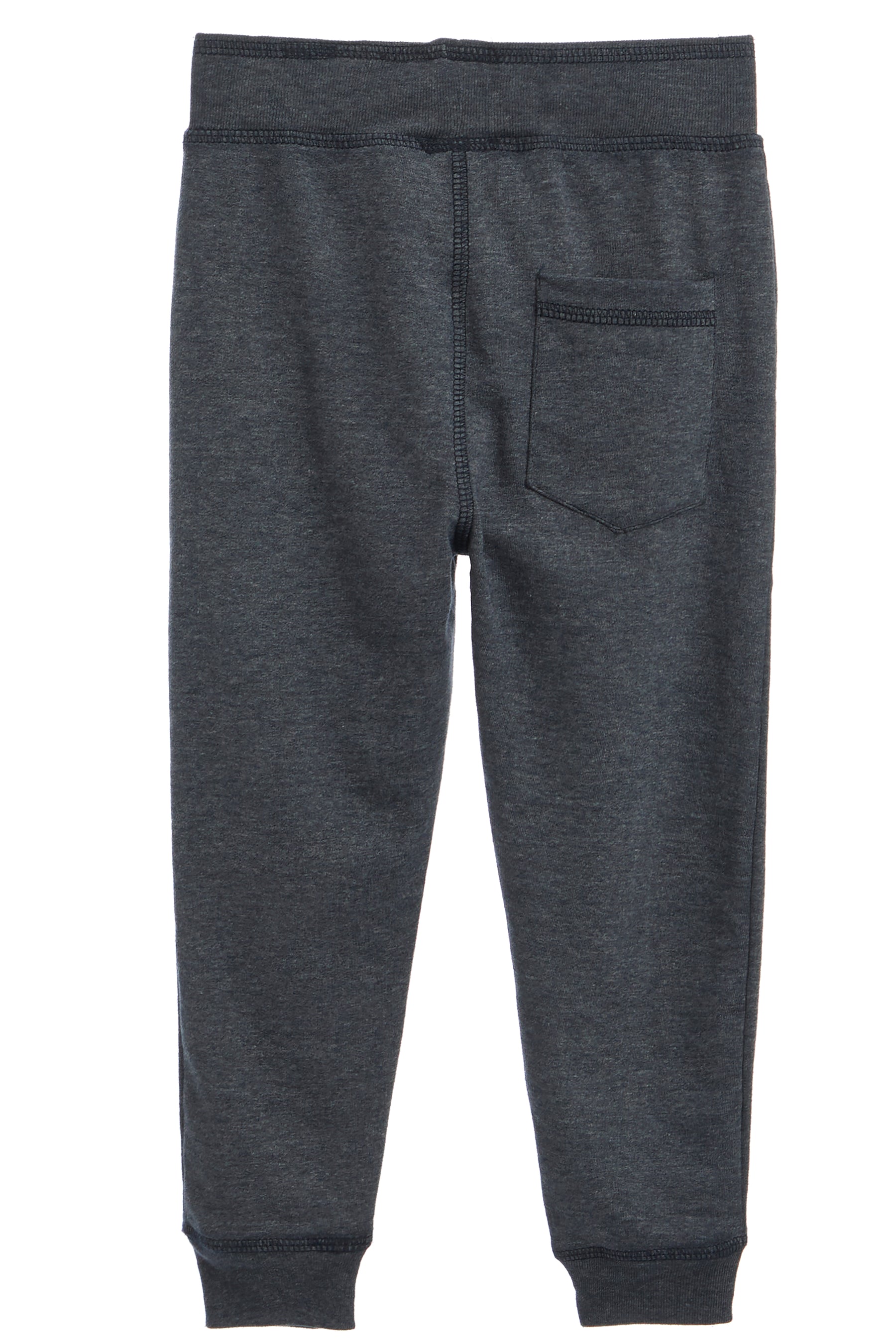 Distressed Jogger Pant