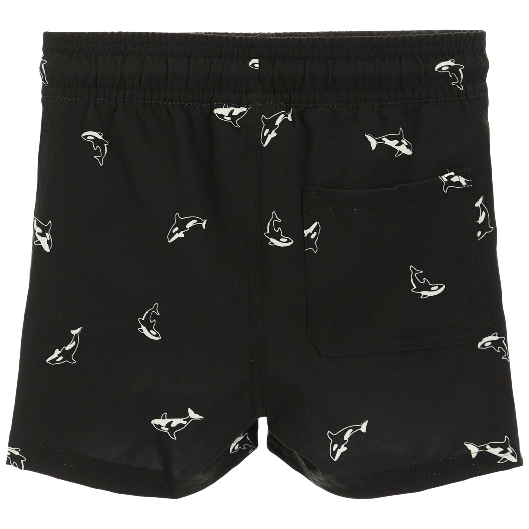 Swim Shorts with Orcas