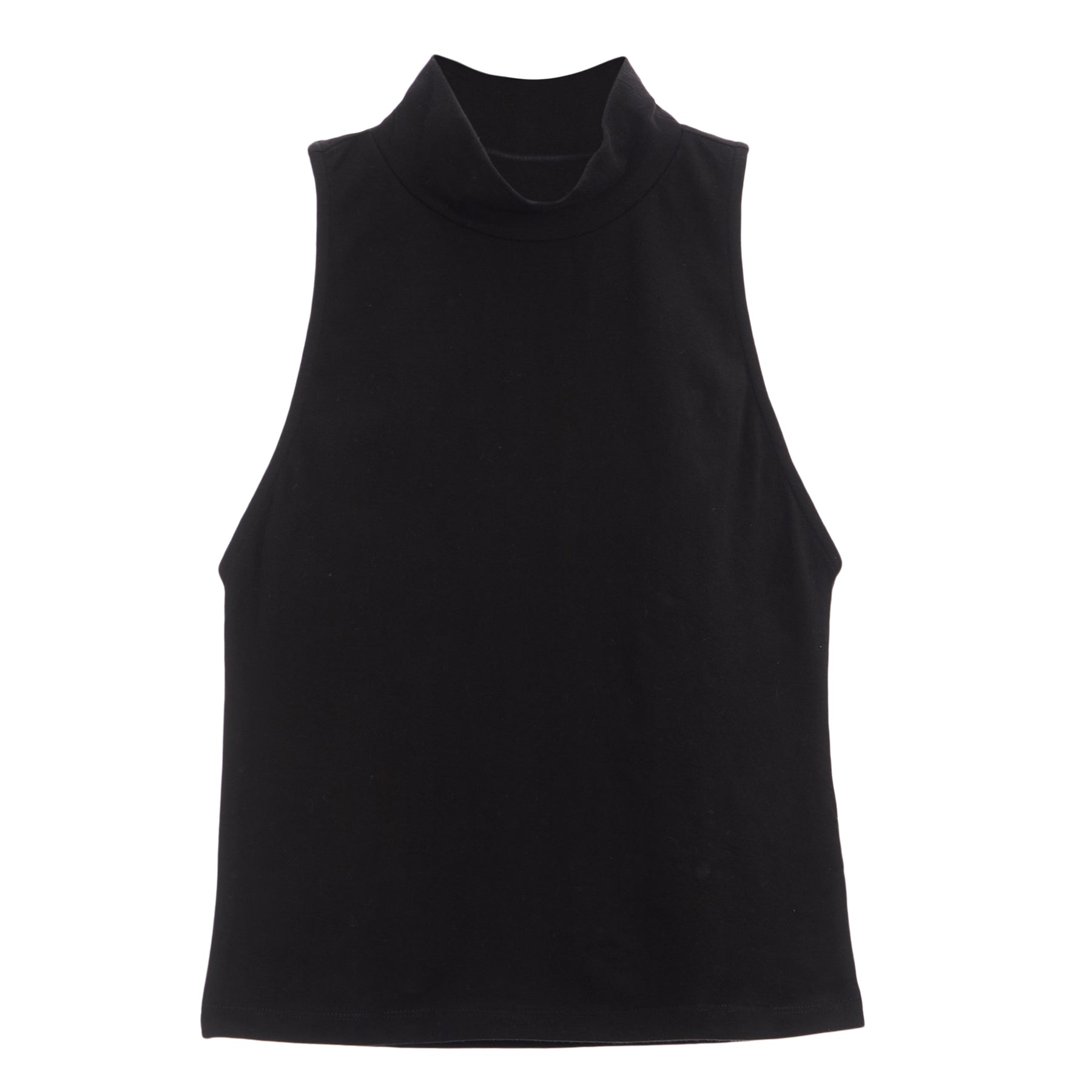 Marissa Turtleneck Top