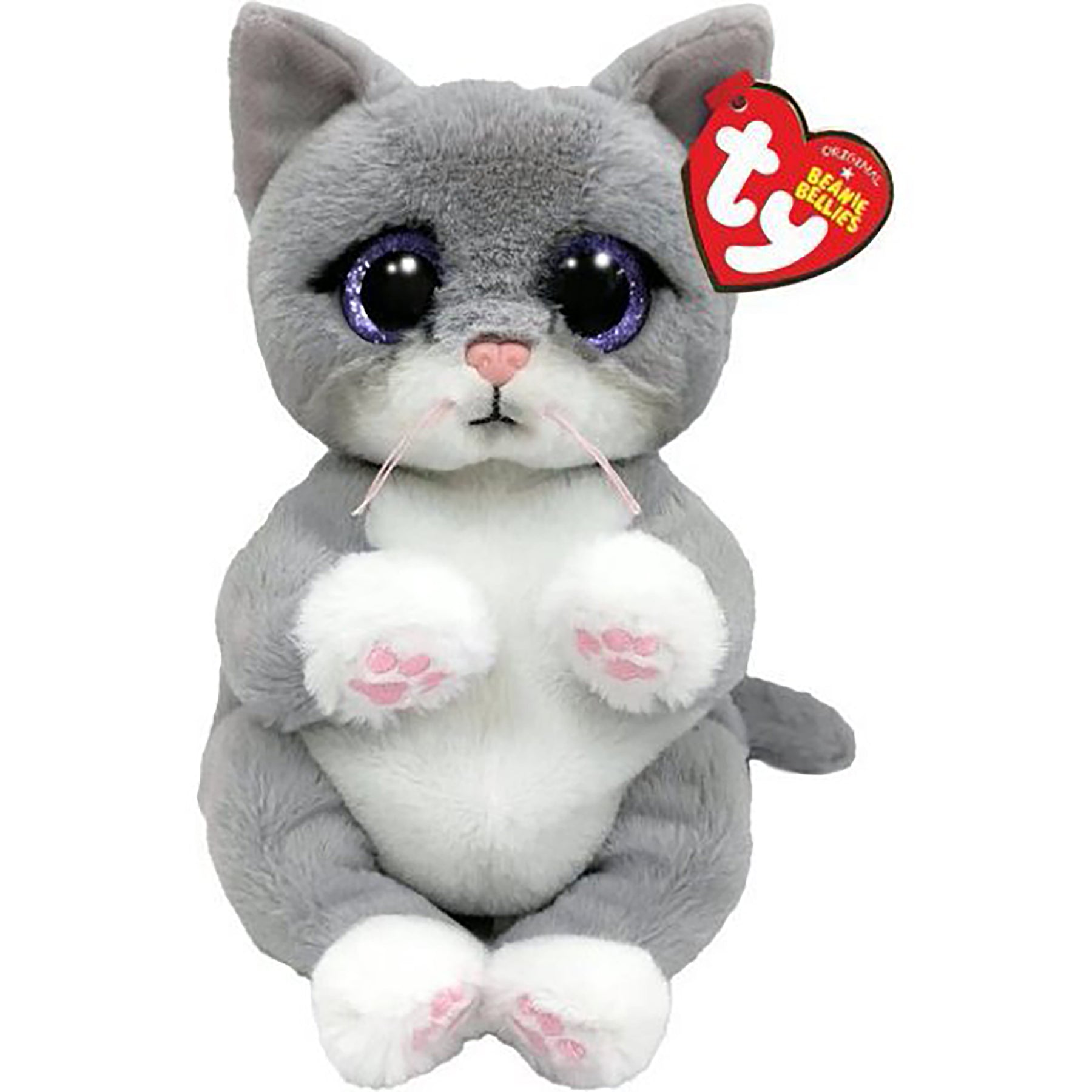 Morgan Kitten