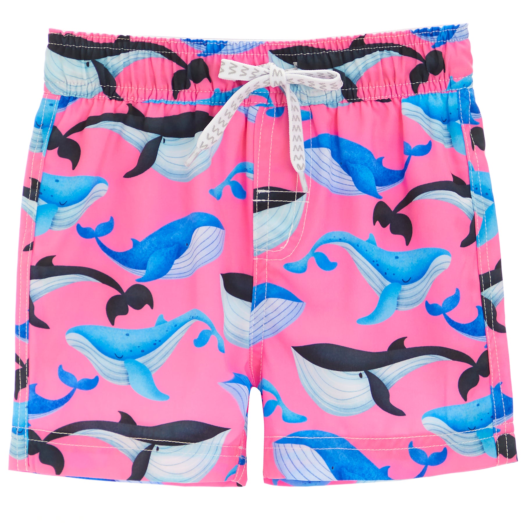 Whales Tech Trunk
