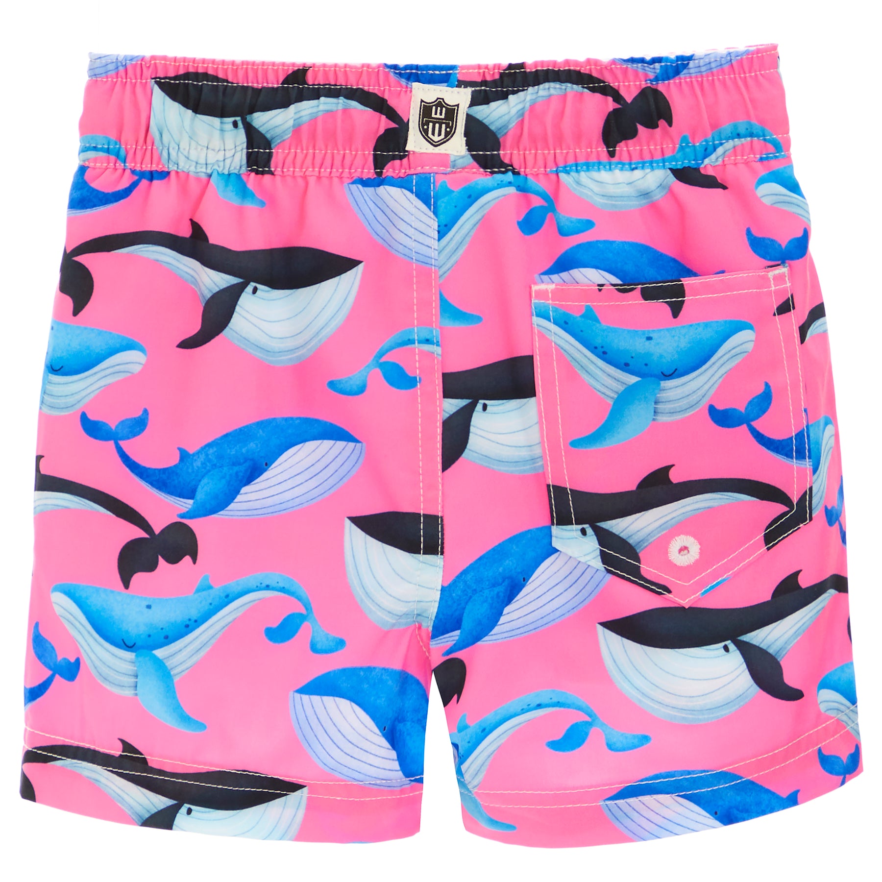 Whales Tech Trunk