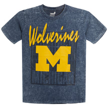 Michigan Headliner Mineral Wash Short Sleeve