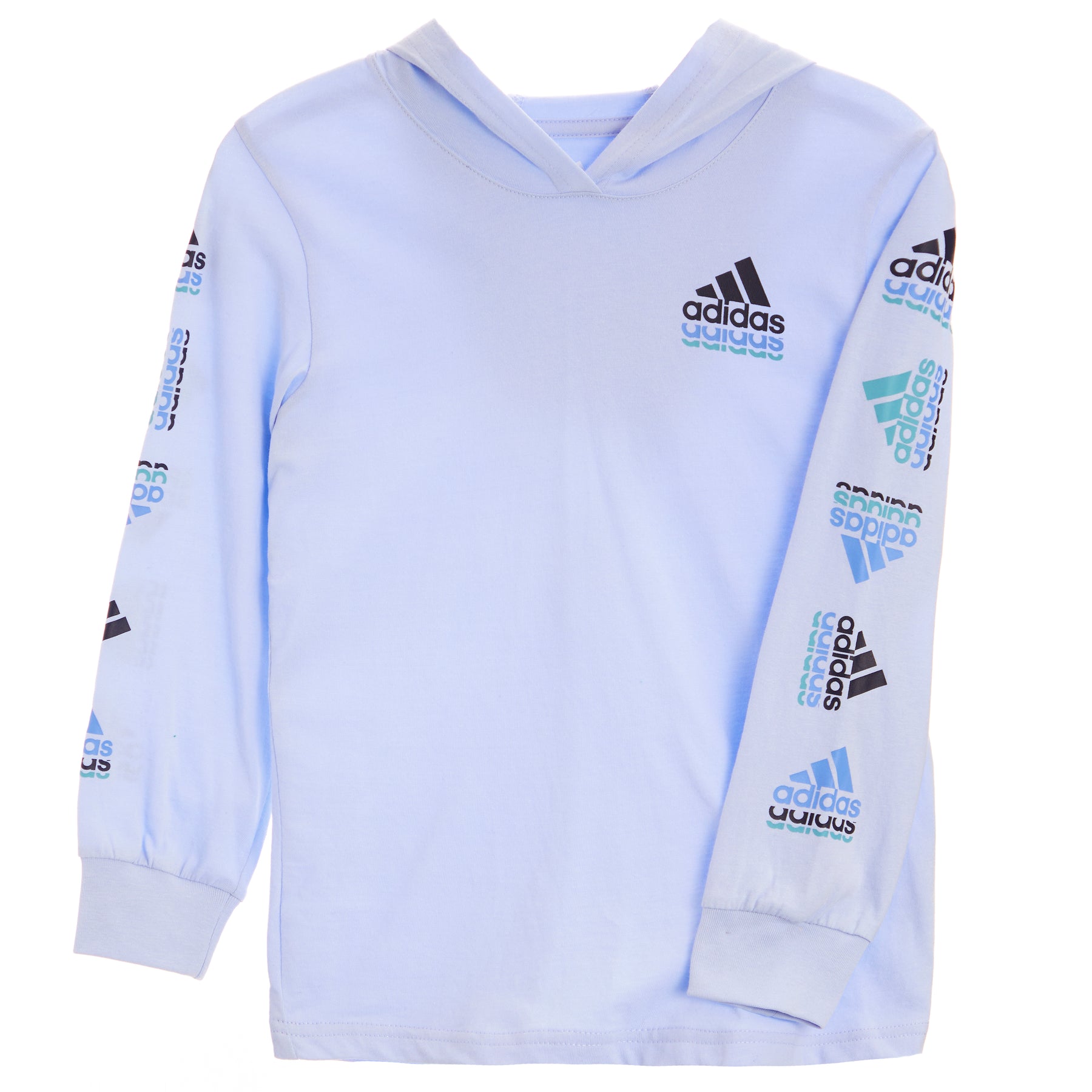 Echo Brand Love L/S Hoodie