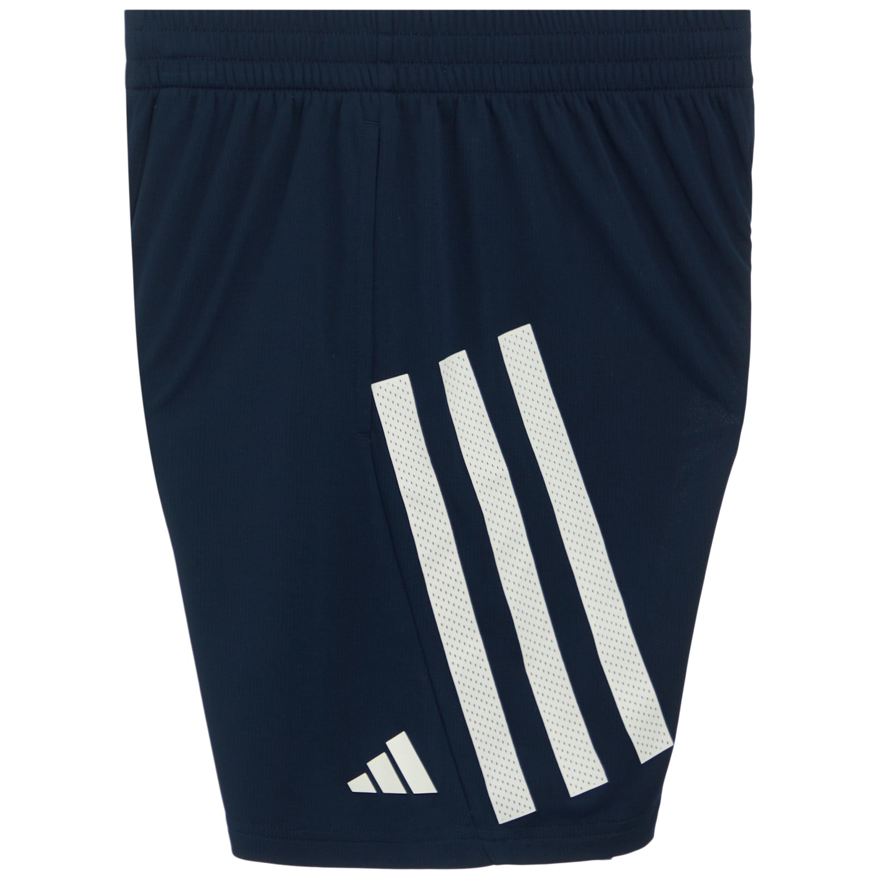 Bold 3S Short