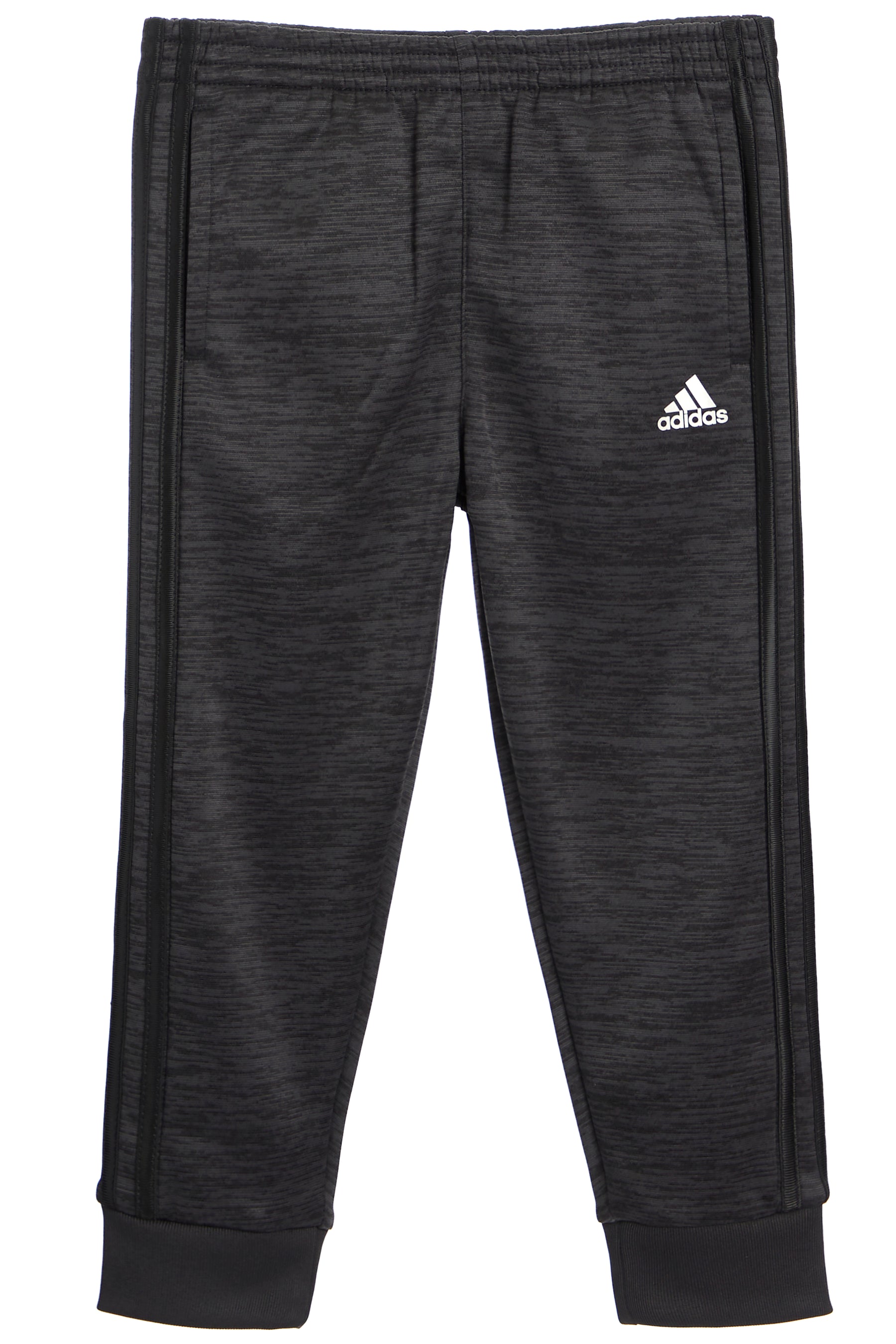 FOCUS JOGGER