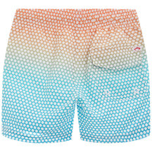 Mid Length Dots Swim Trunks