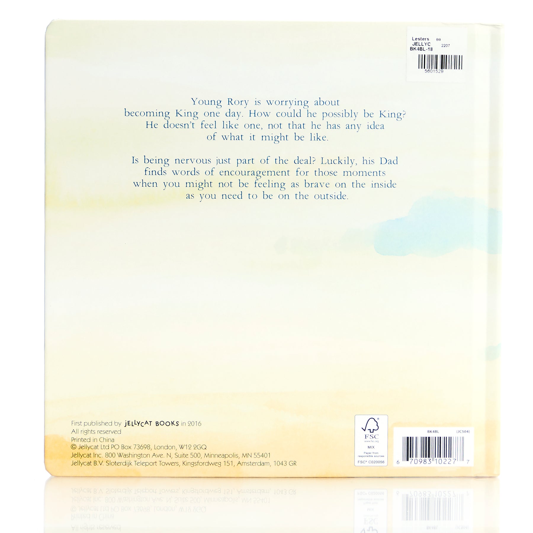 The Very Brave Lion Book