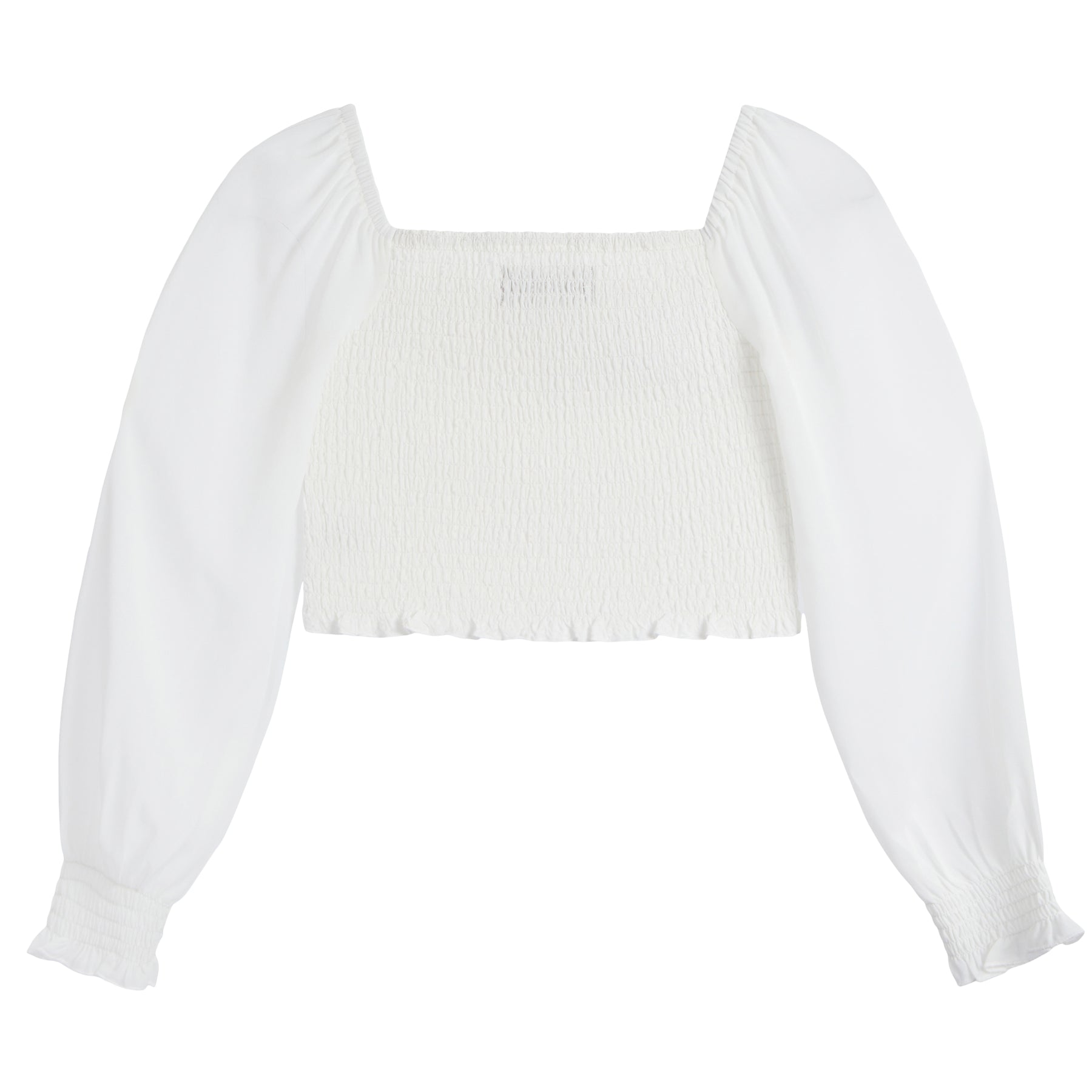 Chloe Sheer Sleeve Top