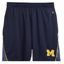 Michigan Subliminal Short
