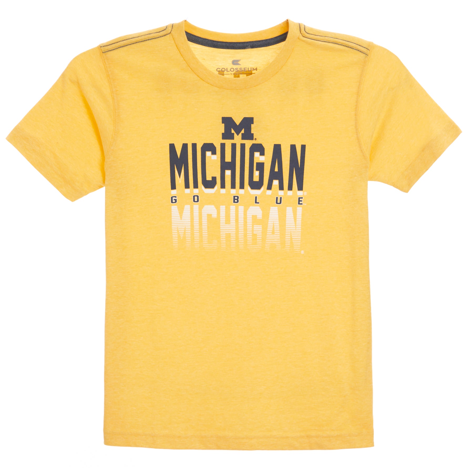 Michigan New Foundland Tee