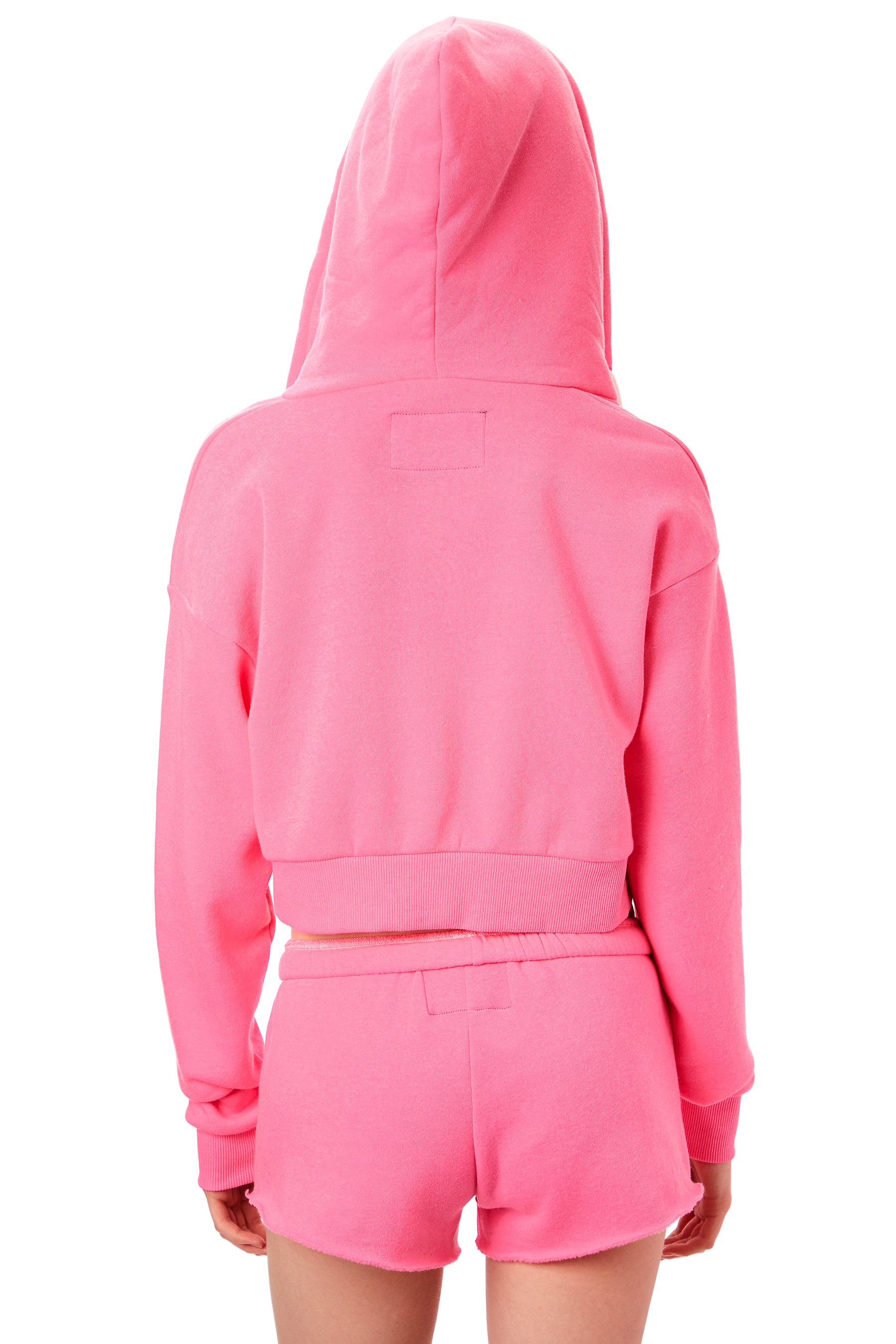 Dylan Crop Zip Hoodie