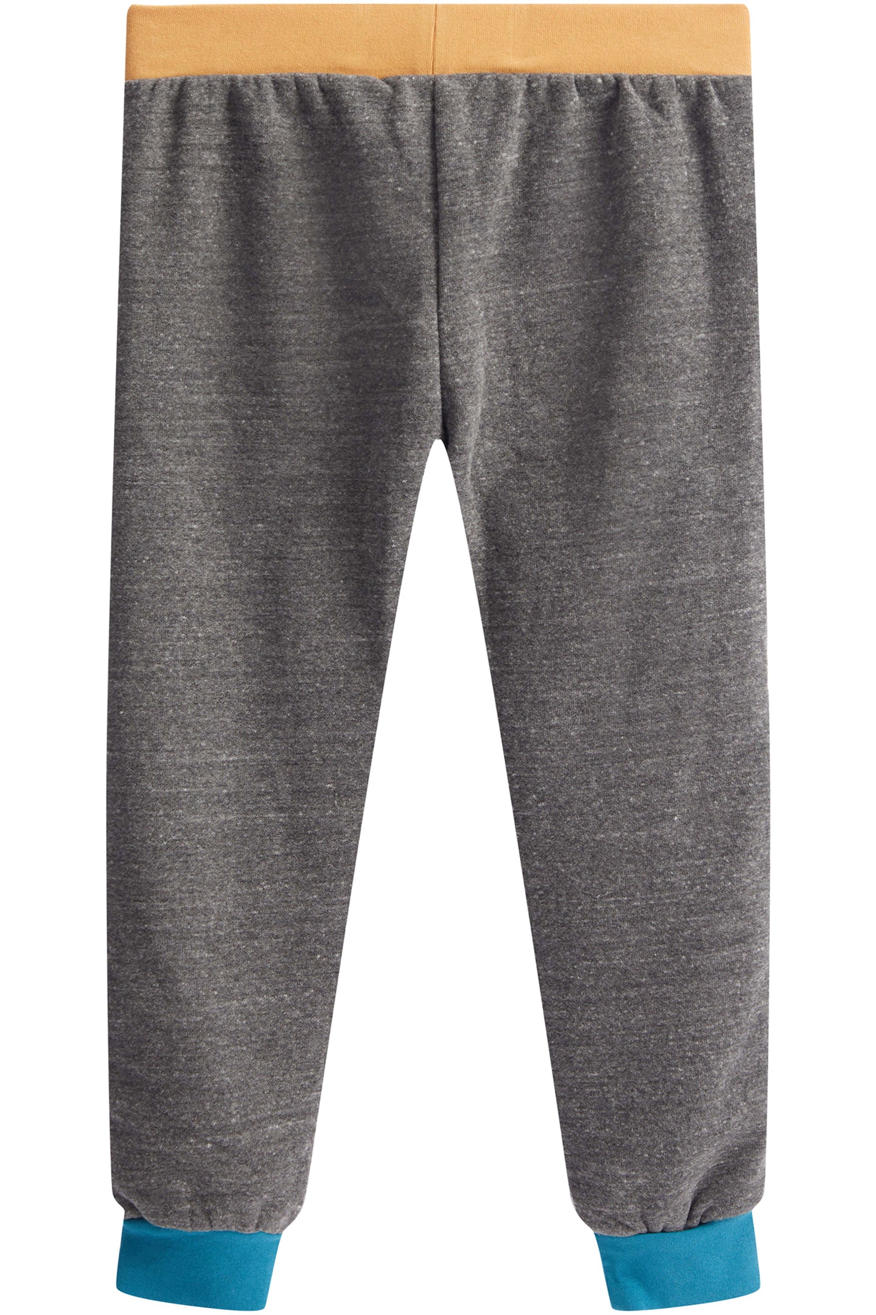 Color Block Jogger