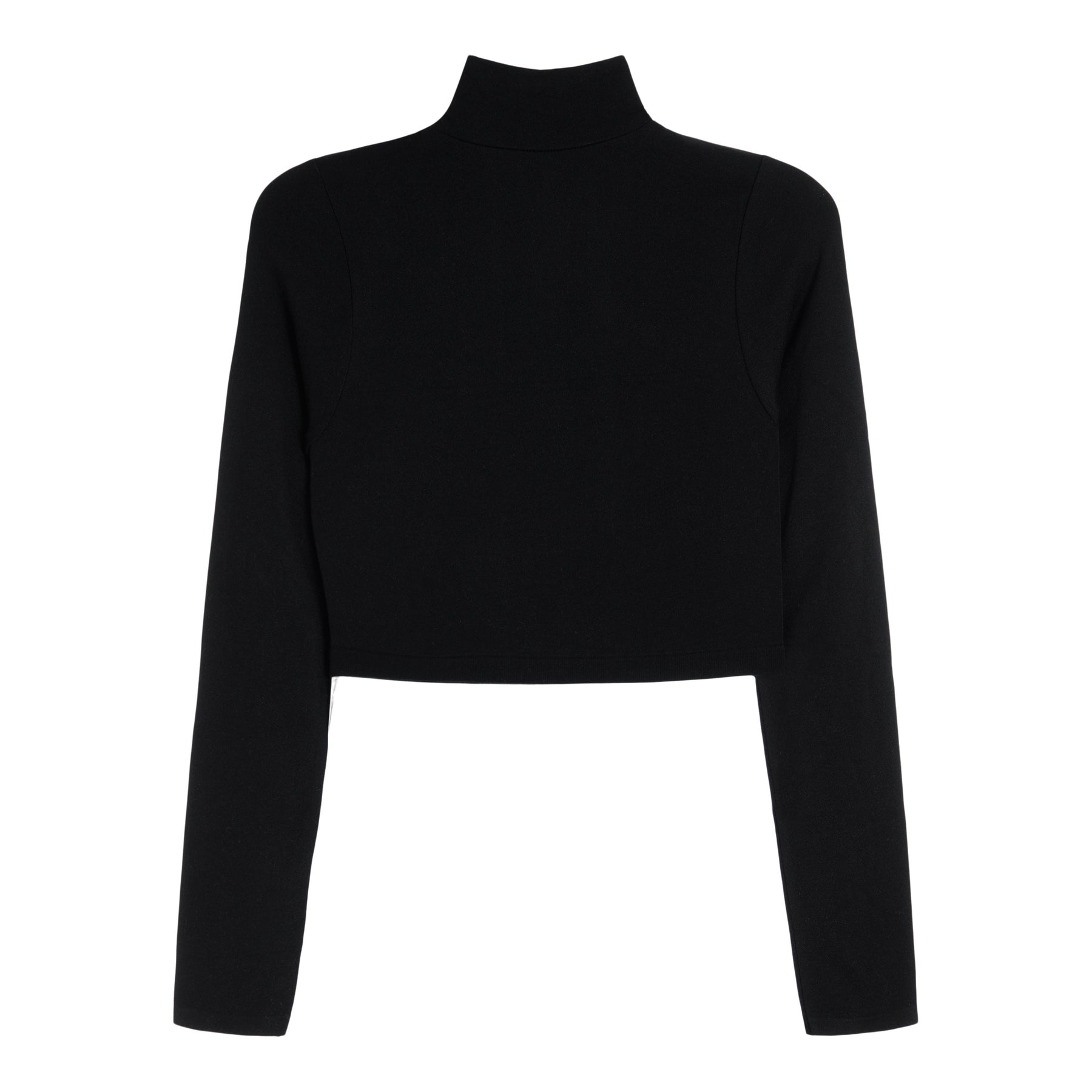 Super Crop Seamless Turtleneck