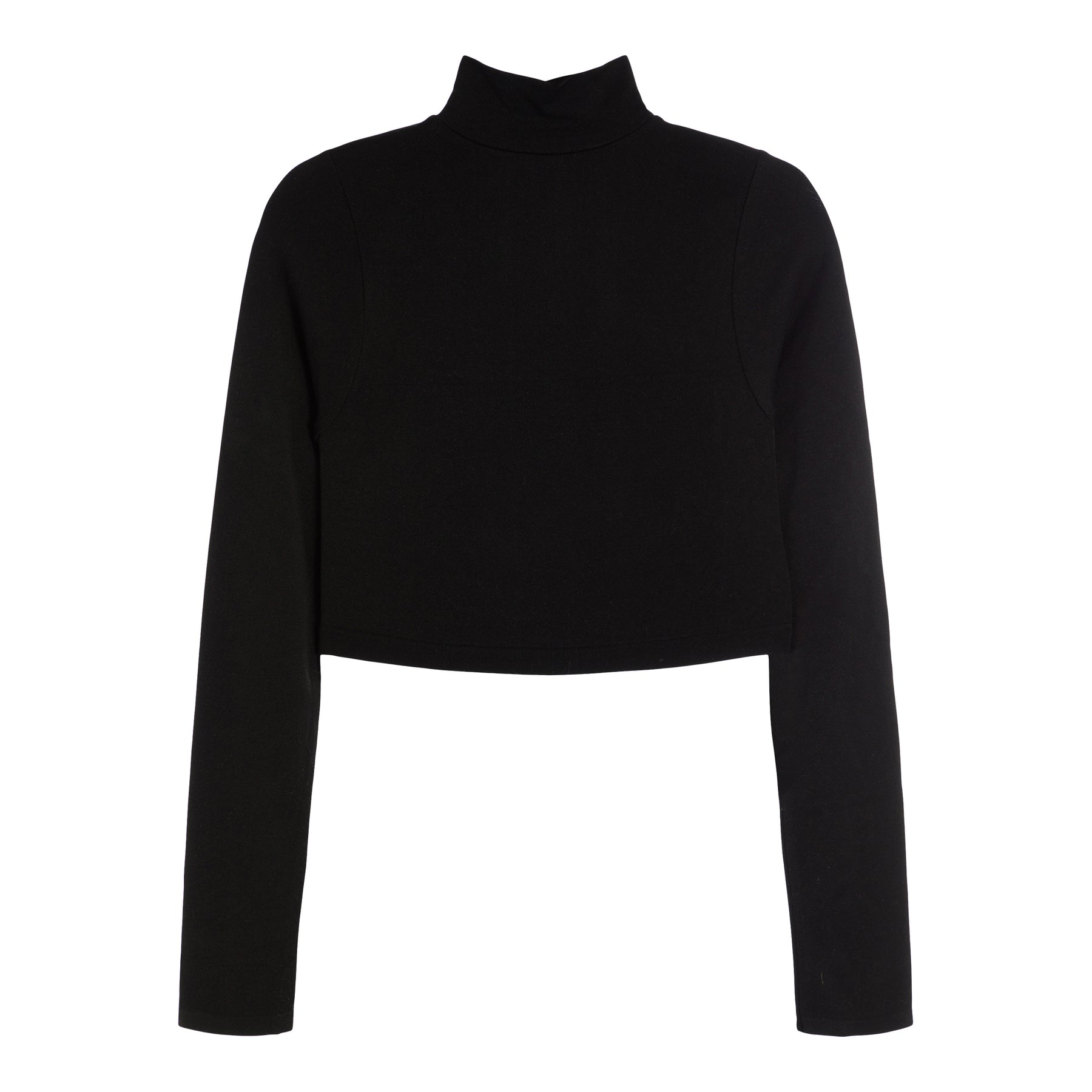 Super Crop Seamless Turtleneck