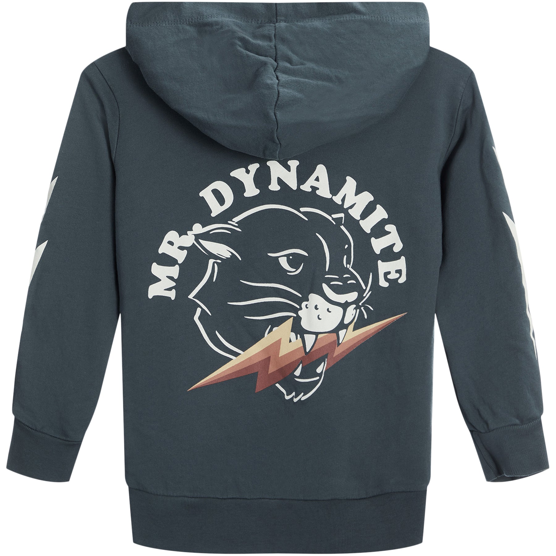 Mr. Dynamite Hoodie